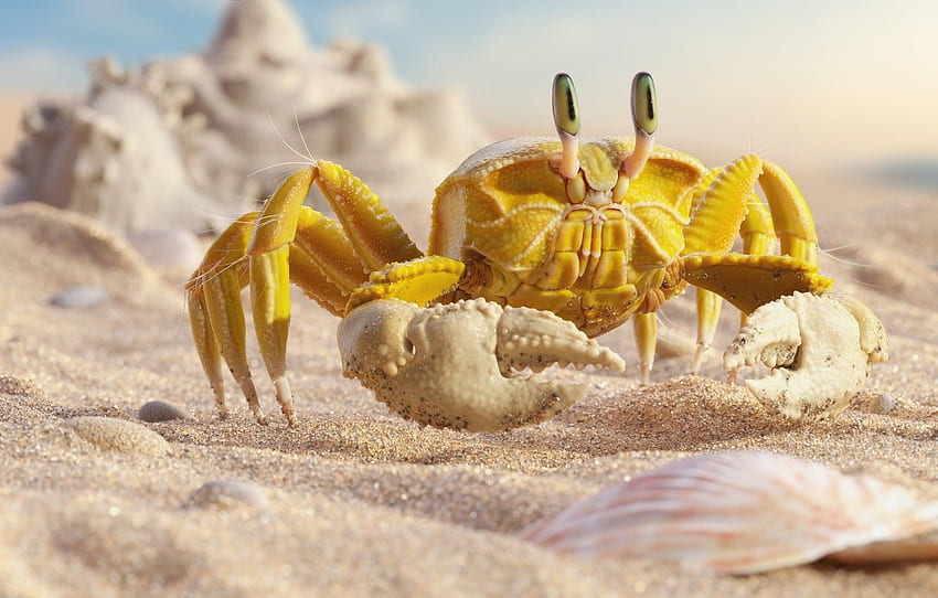 sea, beach, summer, crab, art, crab, Mr Yellow Crab HD wallpaper