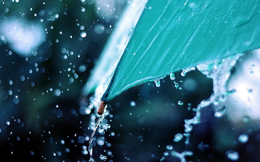 Rain Drops Over Umbrella. Android for, Spring Rain Umbrella HD wallpaper