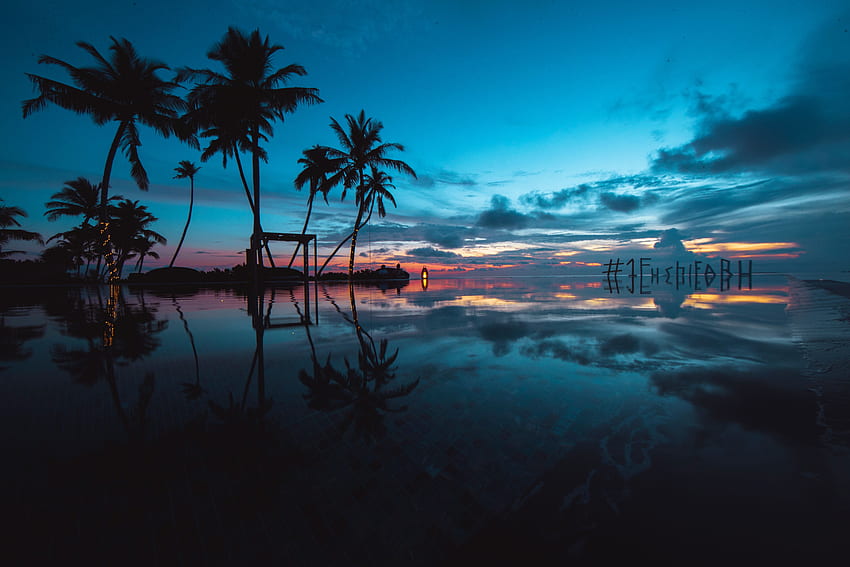 Nature, Sunset, Palms, Ocean, Evening, Tropics HD wallpaper