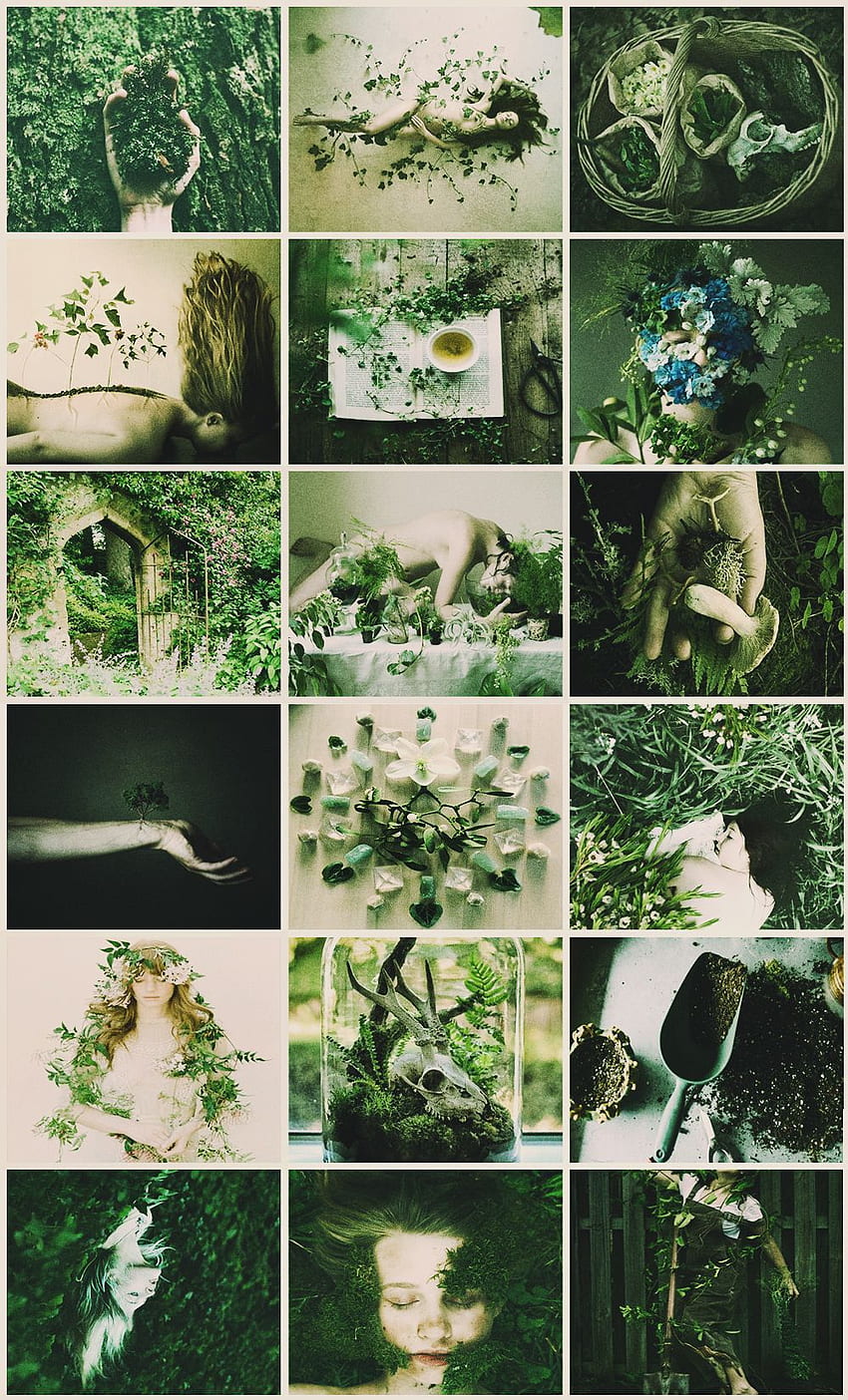 Gardener Witch aesthetic. Witch aesthetic, Witch garden, Aesthetic collage, Green Witch Aesthetic HD phone wallpaper
