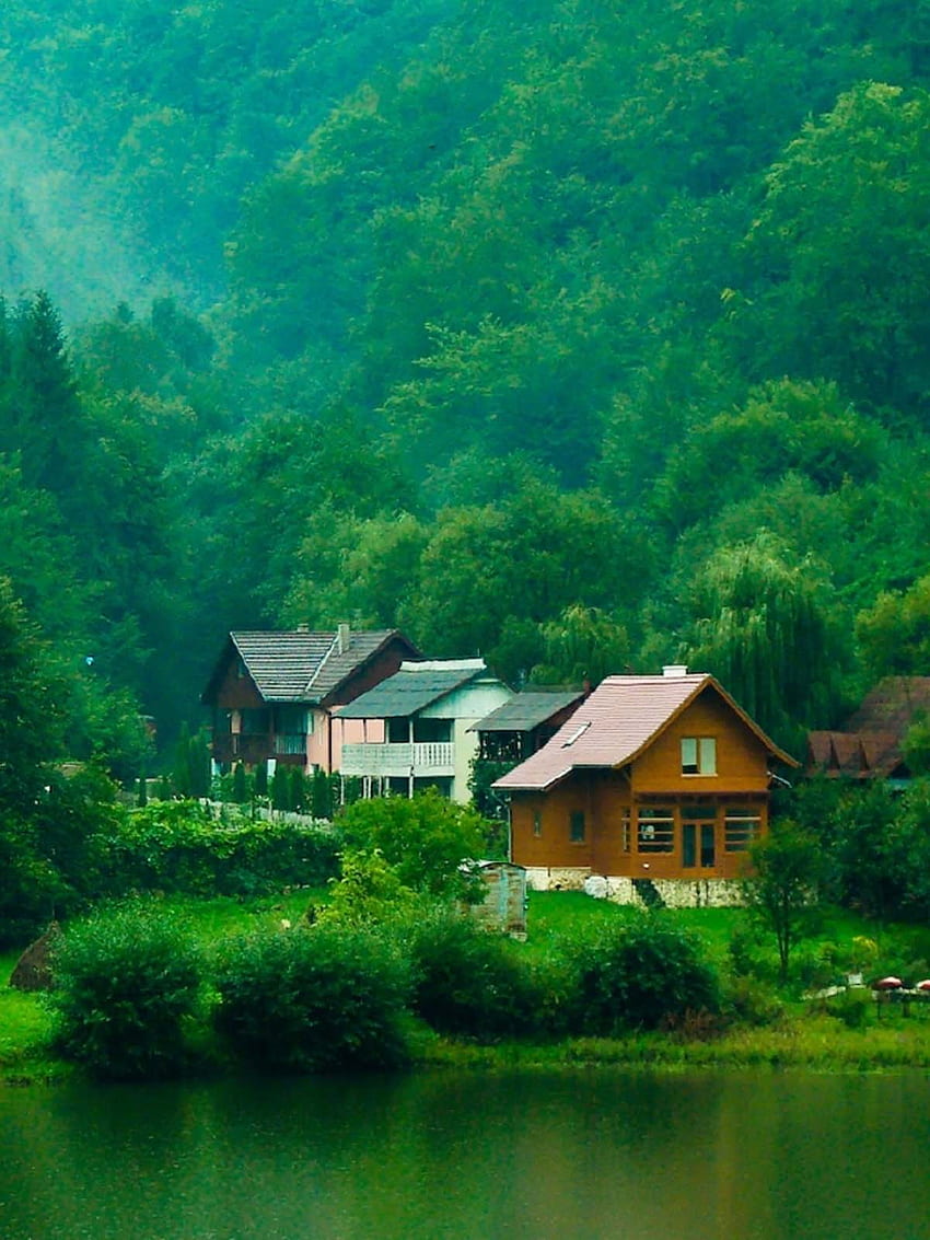 Haus im tiefgrünen Wald Ultramobil, Greeny HD-Handy-Hintergrundbild