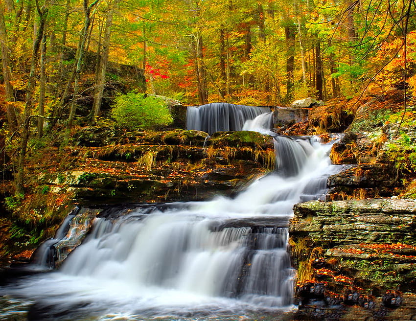 Cascada de otoño, otoño, cascada, naturaleza, cascada, corriente de agua fondo de pantalla