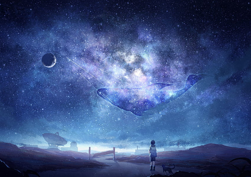Anime Sky, Milky Way, Stars, Anime Boy, Dog, Moon, Whale, Galaxy HD wallpaper
