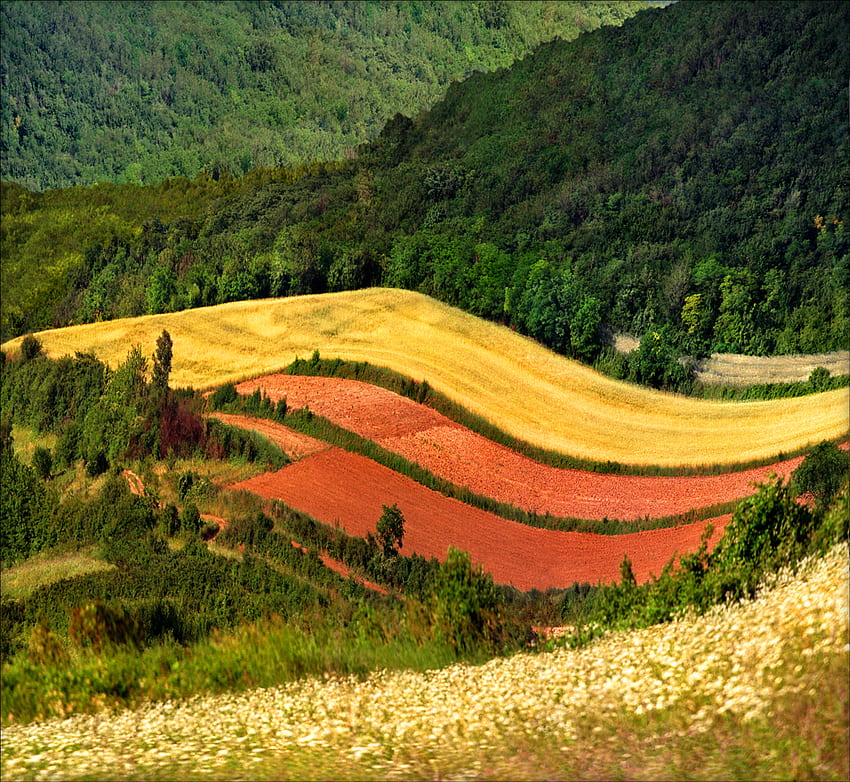 Mozaika, pełny kolor, pole, piękny, wzgórze Tapeta HD