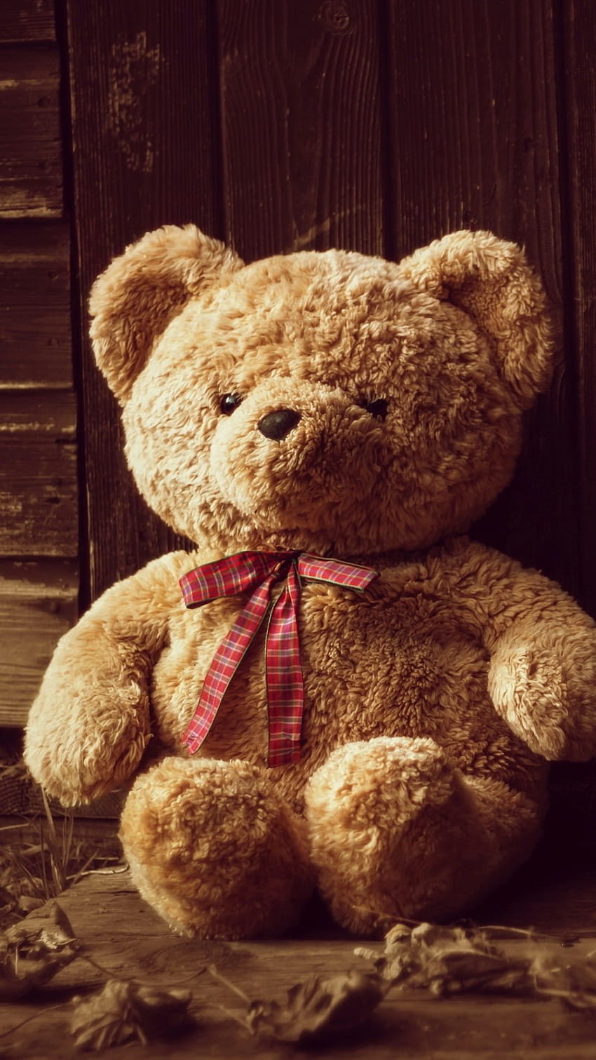Teddy Bear Ka, Alone HD phone wallpaper | Pxfuel