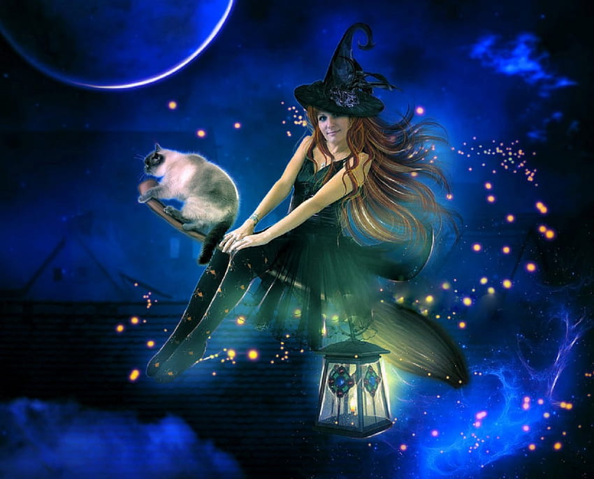 ★Halloween Flying Witch★, liburan, kucing, warna, seni digital, penyihir, halloween, bahagia, sihir, benda-benda aneh yang dikenakan orang, terbang, cantik, kreatif siap pakai, cinta empat musim, fantasi, manipulasi, lentera, indah Wallpaper HD