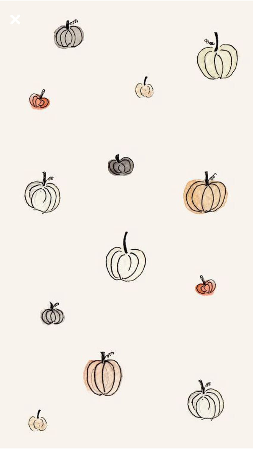 Cute fall pumpkins HD wallpapers | Pxfuel