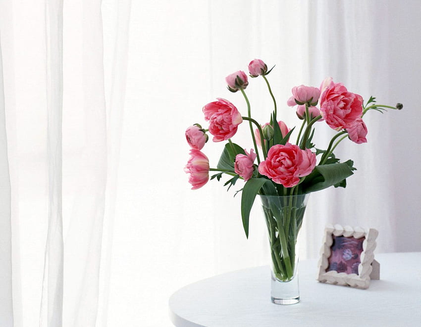 karangan bunga merah muda, karangan bunga, merah muda, tirai, pengaturan Wallpaper HD