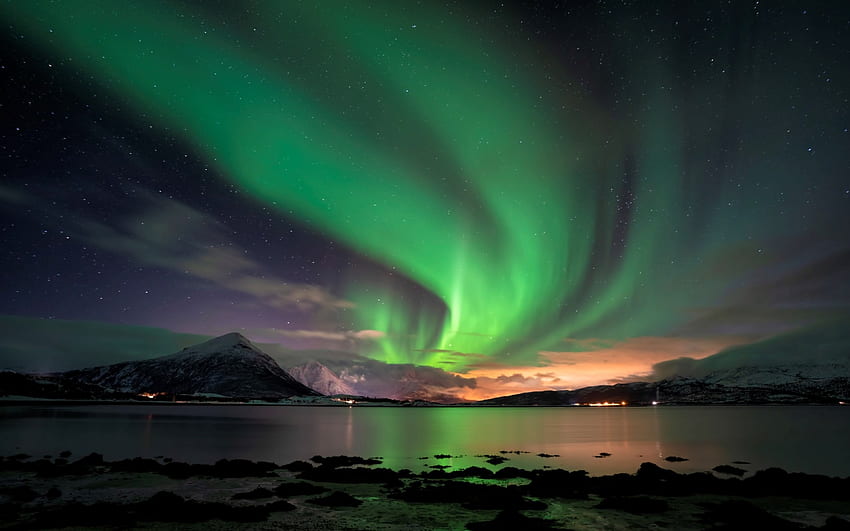 Aurora Borealis in Norway, sea, night, island, Norway, northern lights, aurora borealis, Lofoten HD wallpaper