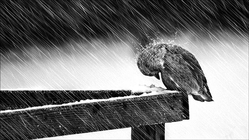 Depression sad mood sorrow dark people love winter rain HD wallpaper