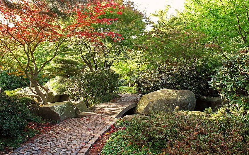 Nature, Trees, Stones, Autumn, Leaves, Garden, Track HD wallpaper
