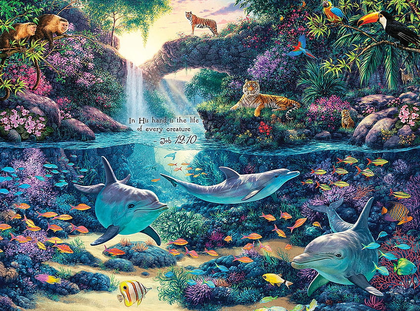 Playful Dolphins, dolphins, sea, playful, mammals HD wallpaper