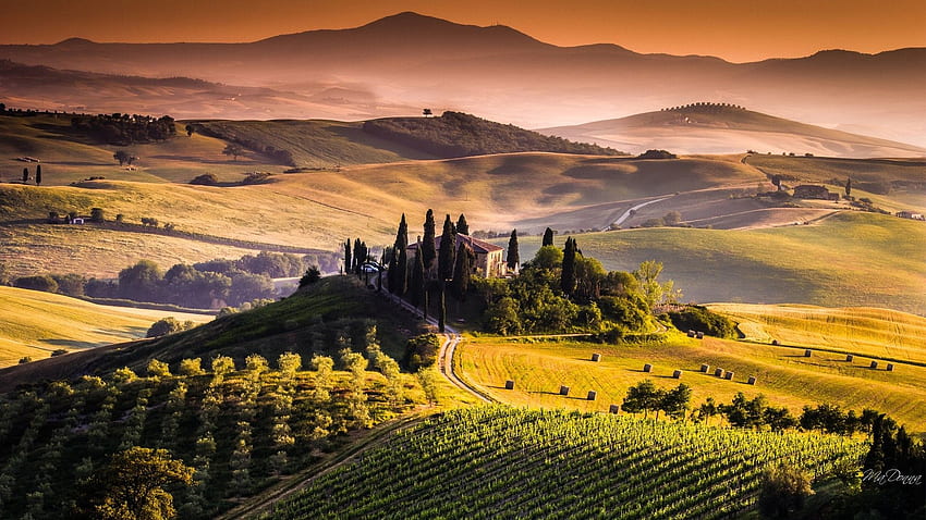 Tuscany Vineyard [] HD wallpaper