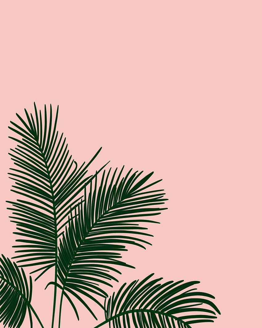 Fronds In Low Places - Pink. Pastel pink , Plant , Flower phone , Pink Plants HD phone wallpaper