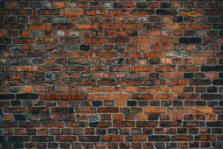 Texture, Textures, Wall, Bricks, Brick Wall HD wallpaper