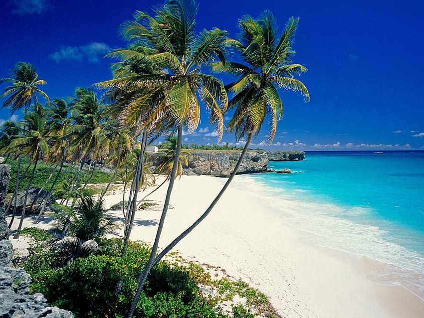 Природа, море, плаж, пясък, палми, тропици, красиво, красиво е HD тапет
