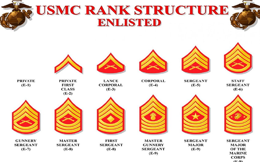 Usmc enlisted ranks, marines, recon, usmc, marine corps HD wallpaper ...