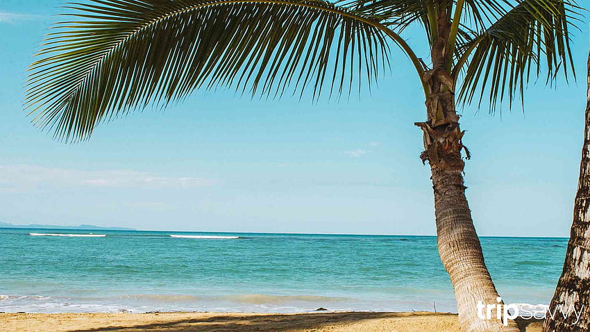 Arrière-plan Zoom inspiré du voyage pour votre prochaine réunion, scènes de plage d'Hawaï Fond d'écran HD