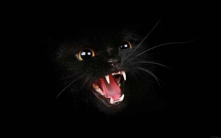 Salem for your or mobile screen HD wallpaper