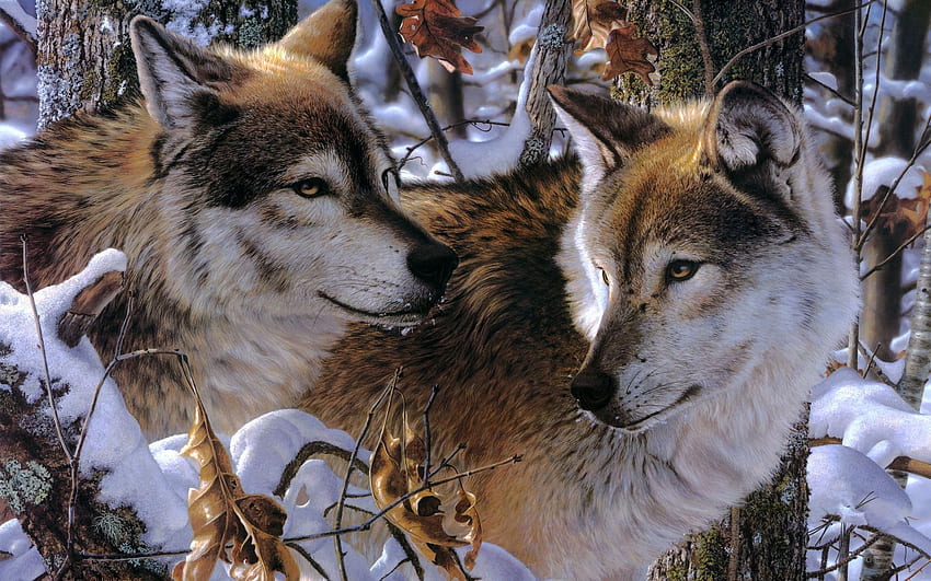 животни, вълци, дървета, сняг, хищници, двойка, двойка, вярност, привързаност, привързаност HD тапет