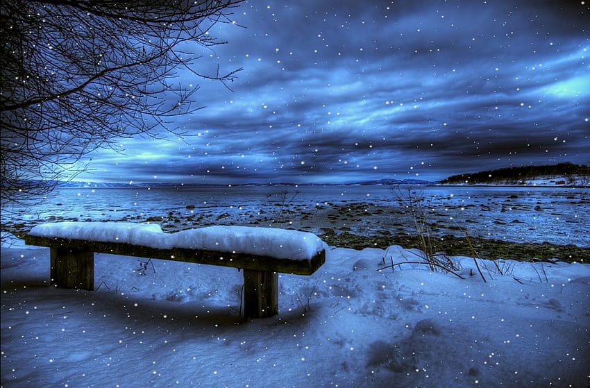 Winter Background That Move. Cute, Moving Scenes HD wallpaper
