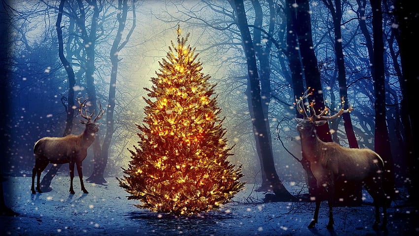 Cute Winter Background with Deer​