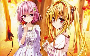 Motto To Love-ru - Other & Anime Background Wallpapers on Desktop Nexus  (Image 489323)