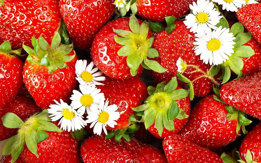 Art de la fraise, Fruit, Sucré, Comestible, Rouge Fond d'écran HD