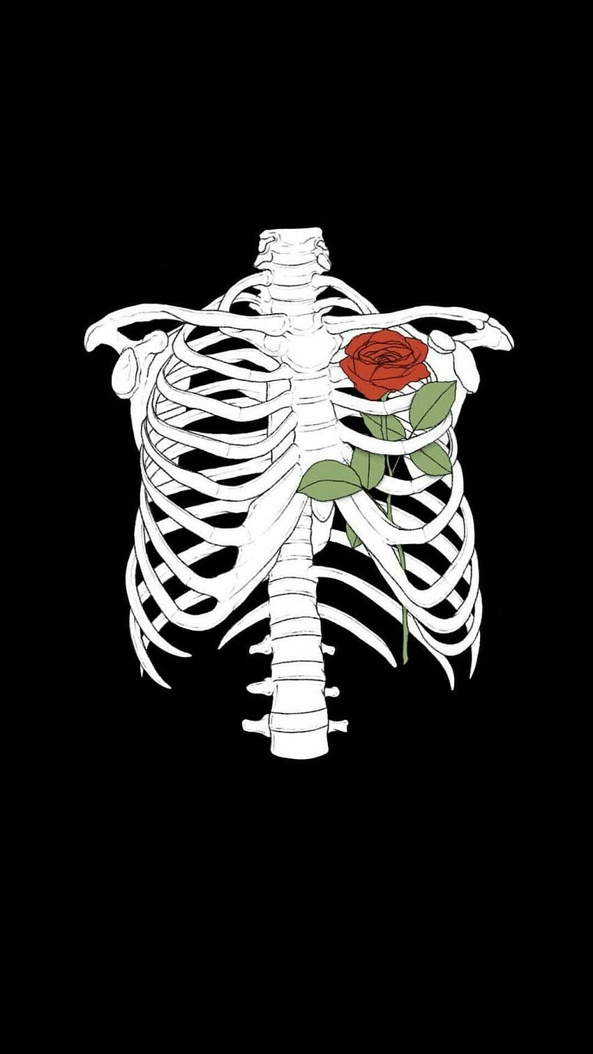Aesthetic Skeleton iPhone, Skeleton Aesthetic Tumblr วอลล์เปเปอร์โทรศัพท์ HD