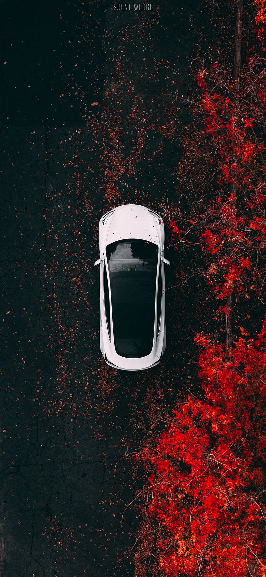 Tesla Model 3 iPhone X - Cuña aromática fondo de pantalla del teléfono