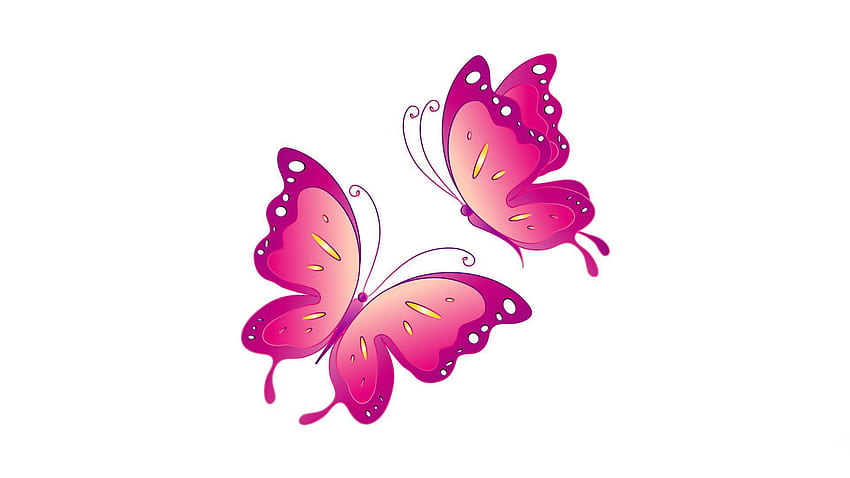 Butterfly Pink Background White HD wallpaper