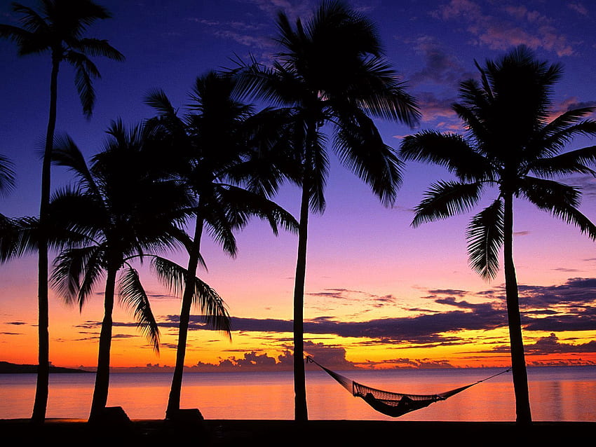 Alam, Matahari Terbenam, Telapak Tangan, Pantai, Bank, Sore, Hammock, Fiji Wallpaper HD
