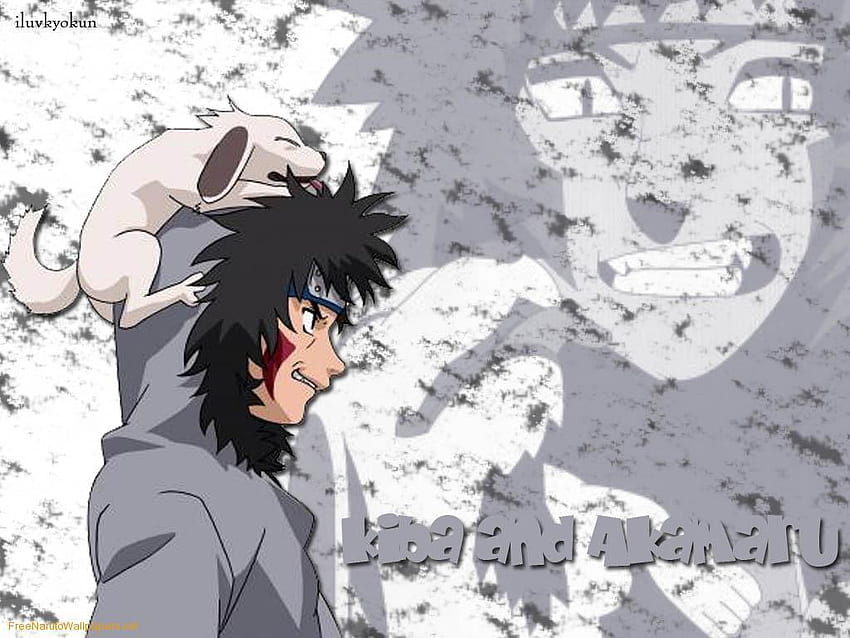 Akamaru . Akamaru , Kiba Akamaru and Cute Akamaru HD wallpaper | Pxfuel