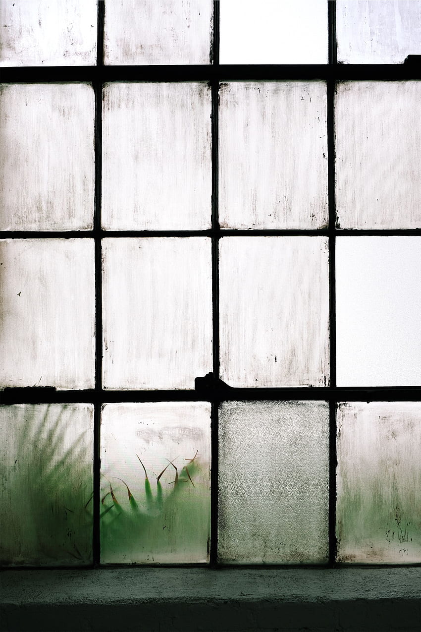 Glass, Window, Lattice, Trellis, Fogged Up, Weeping HD phone wallpaper