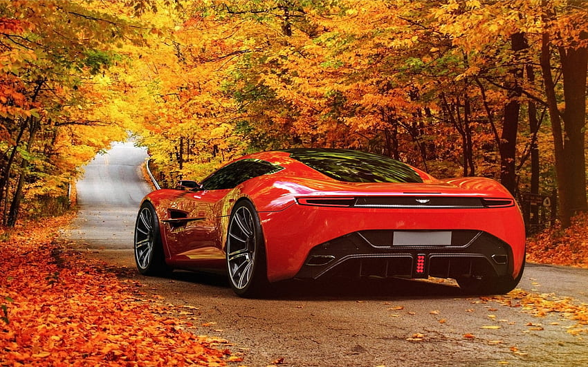Aston Martin, car, Fall, Autumn, park, leaves, supercar, trees, road HD wallpaper