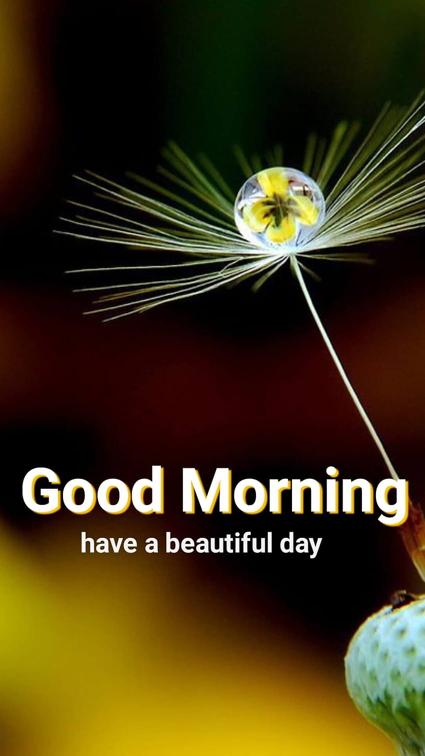 Good Morning, Beautiful Day HD phone wallpaper | Pxfuel