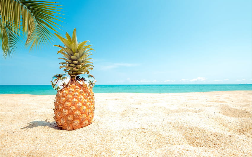 Pineapple, sunglasses, beach, palm trees, sea U , Pineapple in Water HD wallpaper