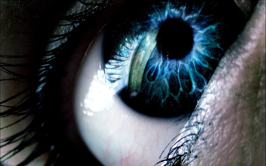 blue eye. Eyes , Dark blue eyes, Eye, Human Eye HD wallpaper