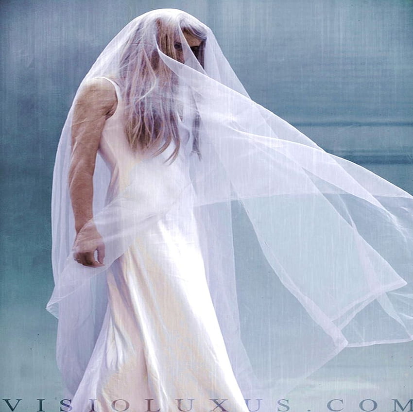 A BRIDE VEIL, white, veil, bride, woman, beauty HD wallpaper