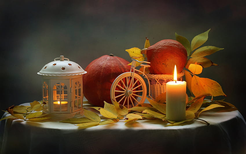 Pumpkin Still Life, pumpkins, leaves, lantern, candle, still life HD wallpaper