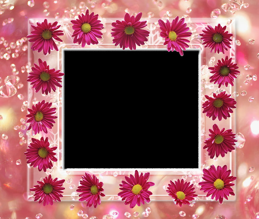 Abstract Floral Frame Png, Clip Art, Clip Art on Clipart Library HD wallpaper