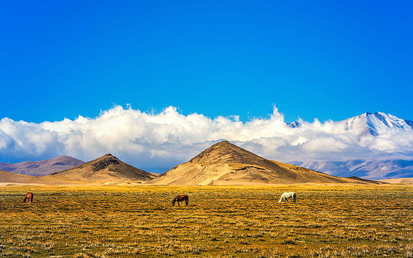 China Northern Tibet Pastures Field Hills Snow Blue Blue Sky Clouds Ultra For Laptop Tablet and Mobile Phones papel de parede HD