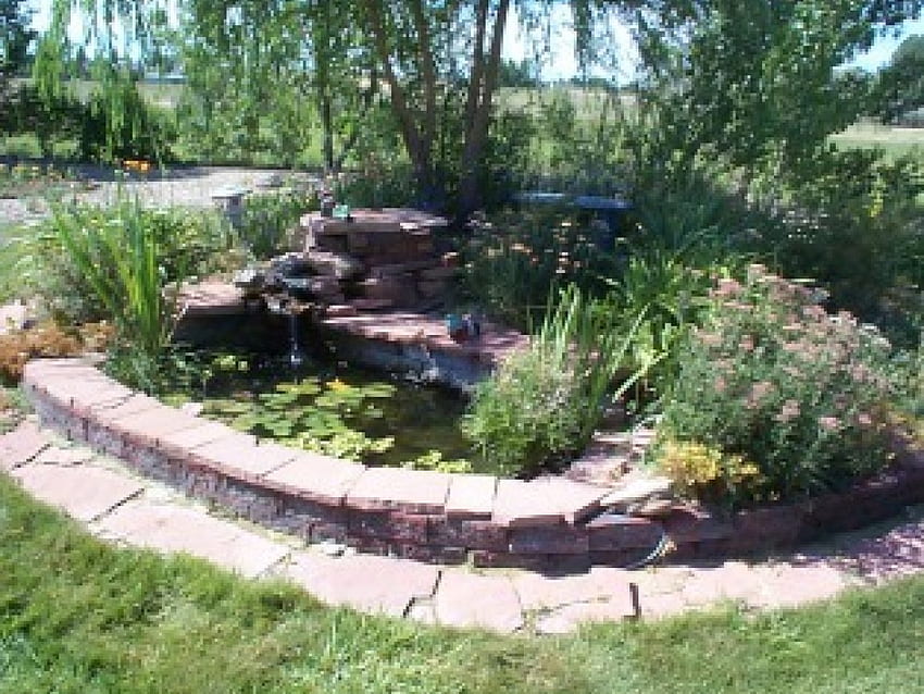 Kleiner Koi-Teich, Bäume, Garten, Koi-Fischteich, Blumen HD-Hintergrundbild