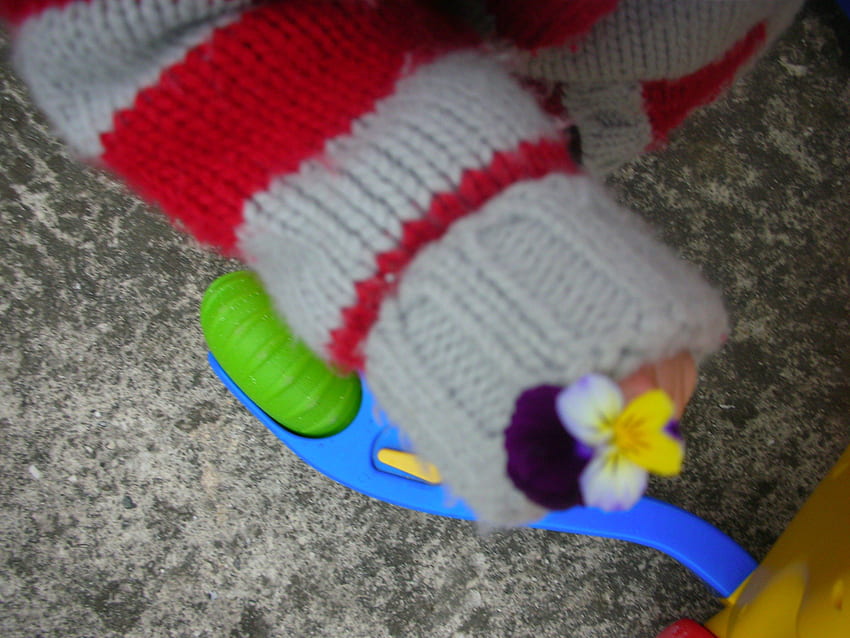 Blume in Kinderhand, Primel, Kind HD-Hintergrundbild