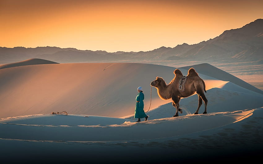 Desert in Mongolia, desert, camel, sand, Mongolia, woman HD wallpaper