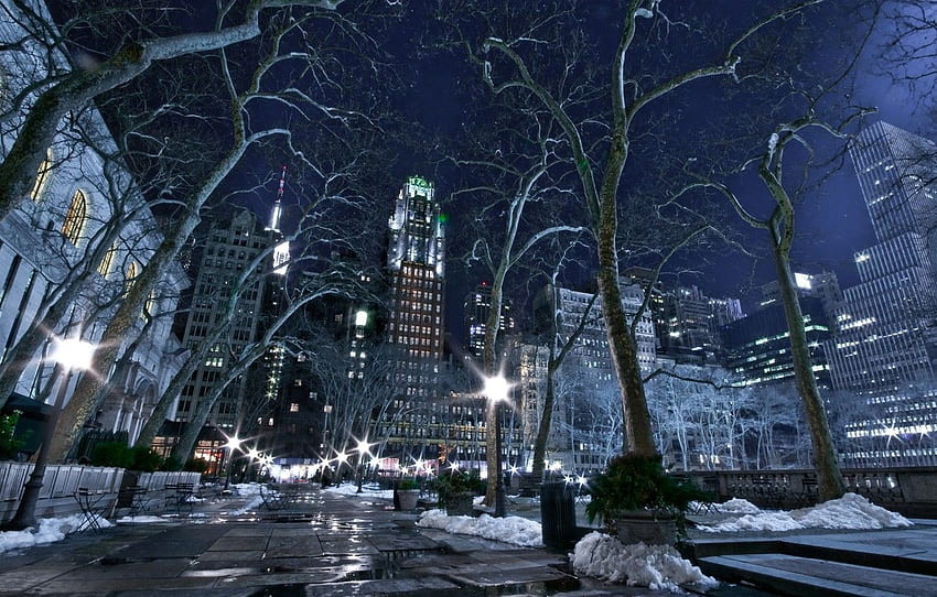 city, lights, USA, road, trees, night, New York, NYC, New, State New York Winter HD wallpaper