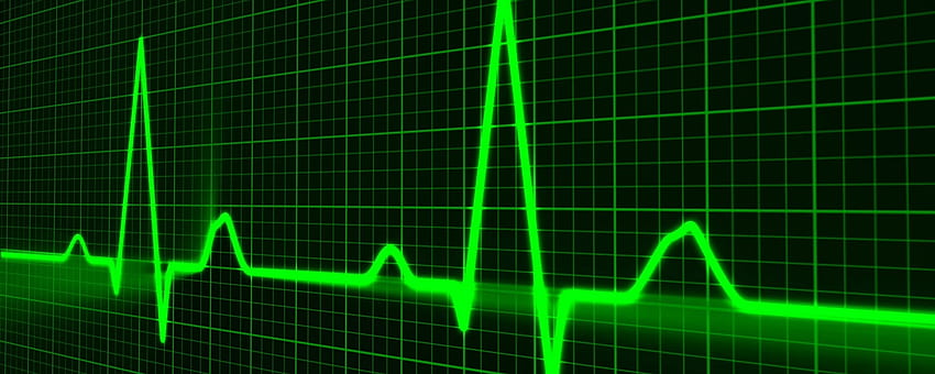 Um novo papel eletrizante para o sistema imunológico na saúde do coração - Science in the News, Cardiac papel de parede HD