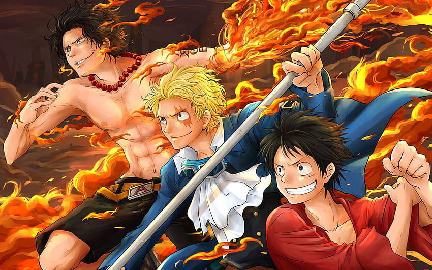 Aggregate 61 one piece anime wiki super hot  incdgdbentre