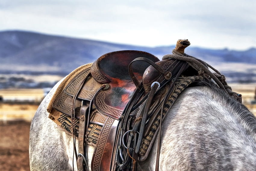 Horse Riding Background > - Western Saddle - & Background HD wallpaper