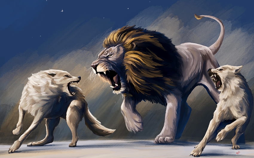 lion vs wolf real fight